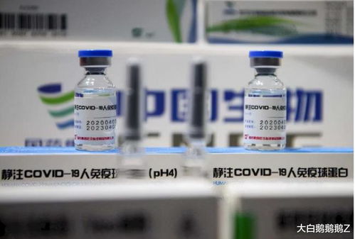 國藥疫苗認證遲滯，澳大利亞留學經濟蒙受重創